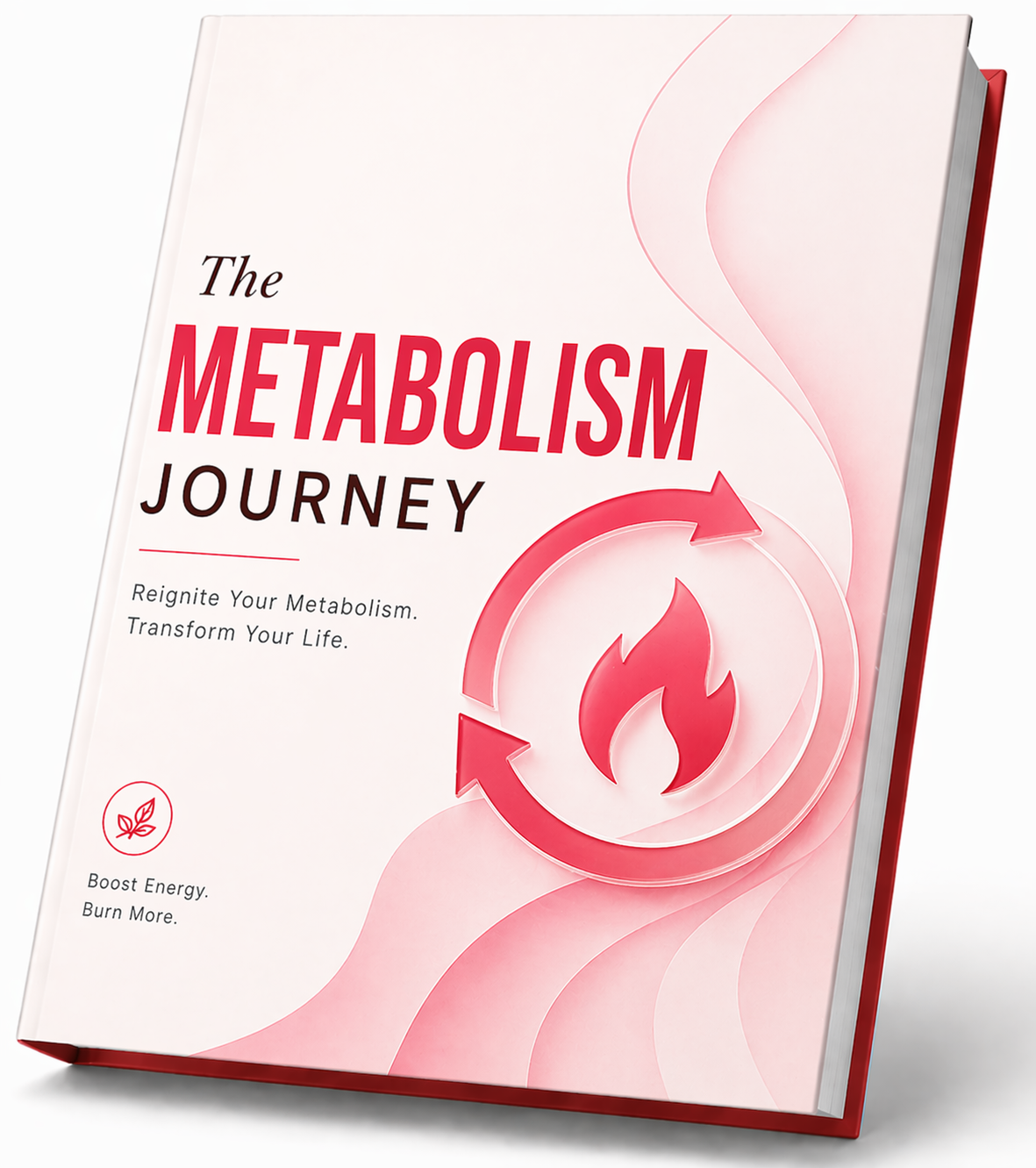 JellyThin buy now Metabolism Journey Guide official bonus